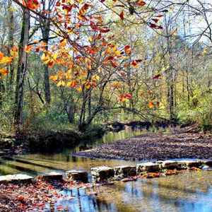 Rock Spring - Natchez Trace Parkway