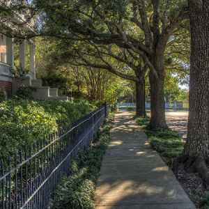 Stroll past antebellum homes. Natchez, Mississippi