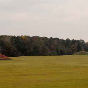 Pharr Mounds - Natchez Trace Parkway