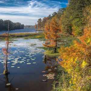 River Bend - Natchez Trace Parkway