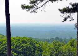 Overlook at Jeff Busby Park.