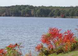 Ross Barnett Reservoir with Sumac in Fall colors on the bank.