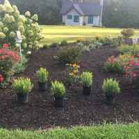 View of cottages from Flower Garden