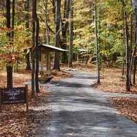 Timberland Park - Natchez Trace Parkway