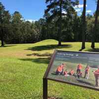 Bynum Mounds - Natchez Trace Parkway