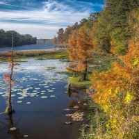 River Bend - Natchez Trace Parkway