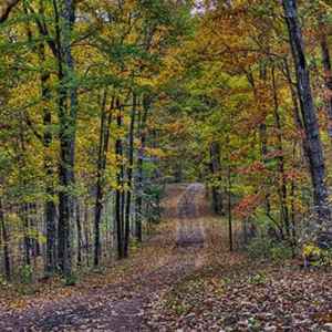 Old Trace Drive - milepost 375.8