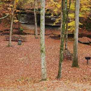 Glenrock Branch Picnic Area - Natchez Trace Parkway
