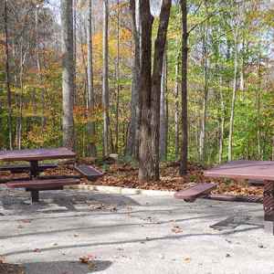 Timberland Park Picnic Area - Natchez Trace Parkway
