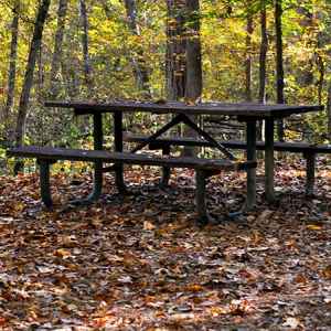 Ballard Creek Picnic Area - Natchez Trace Parkway