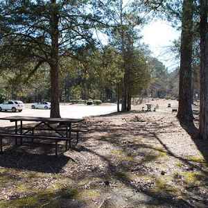 Kosciusko Information Center Picnic Area - Natchez Trace Parkway