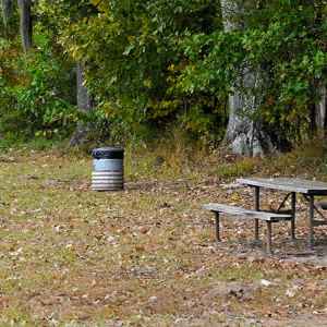 North Fork Coles Creek Picnic Area - Natchez Trace Parkway