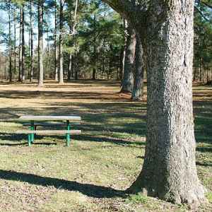 Robinson Road Picnic Area - Natchez Trace Parkway