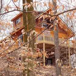 View in the Fall