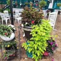 Large Patio