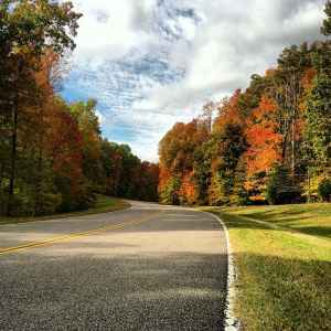 Tennessee - milepost 431 - Natchez Trace Fall Foliage - October 20 - Photographer: Chris Turner