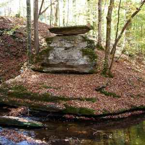 Tennessee - Glenrock Branch - Natchez Trace Fall Foliage - October 24 - Photographer: Misty Hoover