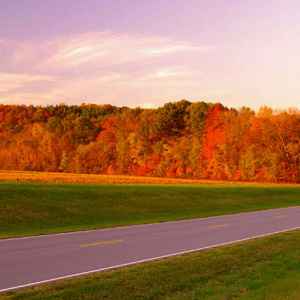 Tennessee - Forest along Buffalo River - Natchez Trace Fall Foliage - October 25 - Photographer: John Tallant
