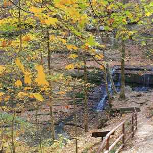 Tennessee - View of Jackson Falls from Path - Natchez Trace Fall Foliage - October 25 - Photographer: Joshua Steadman