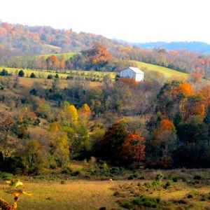 Tennessee - Baker Bluff Overlook - Natchez Trace Fall Foliage - October 25 - Photographer: Kristin Roberts