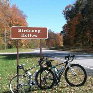 Tennessee - Bikes at Birdsong Hollow - Natchez Trace Fall Foliage - October 25 - Photographer: Michelle Clonce-Turner