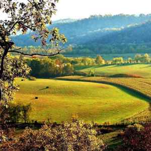 Tennessee - Baker Bluff Overlook - Natchez Trace Fall Foliage - October 25 - Photographer: Sandra McVay