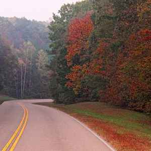 Mississippi - Parkway near milepost 289 - Natchez Trace Fall Foliage - October 27 - Photographer: Mary Carton