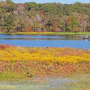 Mississippi - River Bend - Natchez Trace Fall Foliage - October 27 - Photographer: Mary Carton