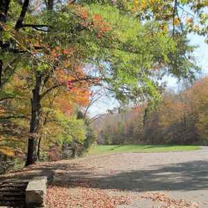 Tennessee - Parking area at Sweetwater Branch - Natchez Trace Fall Foliage - October 27 - Photographer: Patricia Robertson