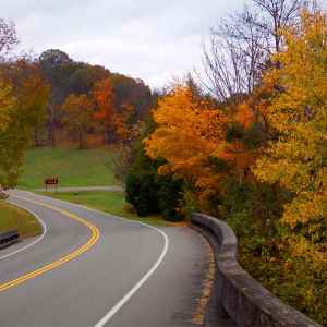 Tennessee - Parkway at the Jackson Falls turnoff - Natchez Trace Fall Foliage - October 27 - Photographer: Thomas Jordan