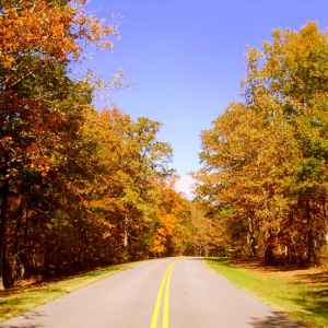 Tennessee - Parkway near the Meriwether Lewis site - Natchez Trace Fall Foliage - October 27 - Photographer: Tina Rich