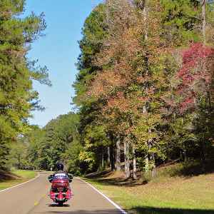 Mississippi - Motorcycle near Milepost 180 - Natchez Trace Fall Foliage - October 29 - Photographer: Sandy Warren