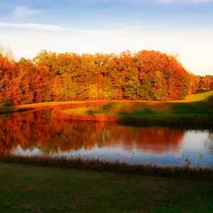 Mississippi - Browns Bottom - Natchez Trace Fall Foliage - October 30 - Photographer: John Tallant