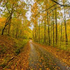 Tennessee - Old Trace Drive - milepost 375.8