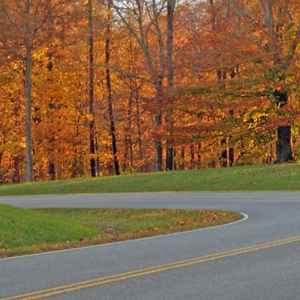 Tennessee - Motorcycle riding Curve near Milepost 440 - Natchez Trace Fall Foliage - November 2 - Photographer: Dennis Sherer