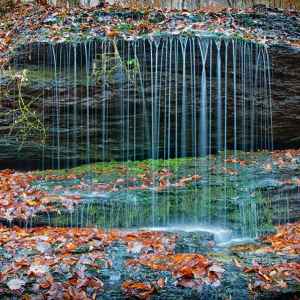 Tennessee - Fall Hollow Waterfall - Natchez Trace Fall Foliage - November 4 - Photographer: Bryan Burton