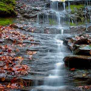 Tennessee - Jackson Falls - Natchez Trace Fall Foliage - November 4 - Photographer: Bryan Burton
