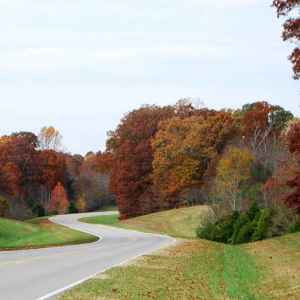 Tennessee - Parkway near Milepost 424 - Natchez Trace Fall Foliage - November 4 - Photographer: Steve Miller