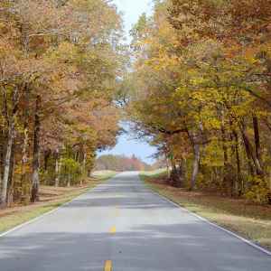 Tennessee - Parkway near Milepost 371 - Natchez Trace Fall Foliage - November 8 - Photographer: Cindy Barnett