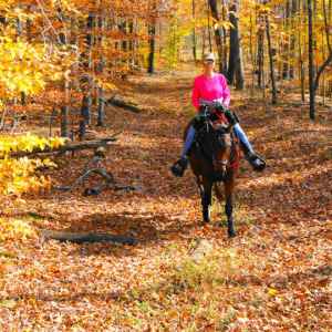 Tennessee - Natchez Trace National Scenic Trail - Natchez Trace Fall Foliage - November 8 - Photographer: Jim Swan