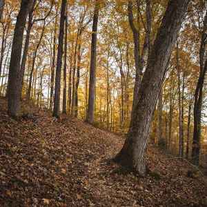 Garrison Creek Trail - milepost 427.6 - Tennessee