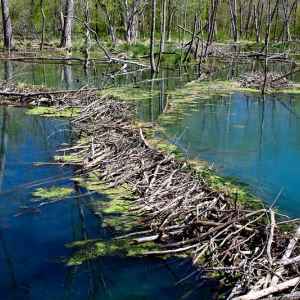 Rock Spring - milepost 330.2