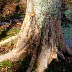 Rock Spring - milepost 330.2