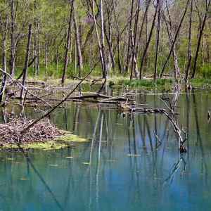 Rock Spring - milepost 330.2