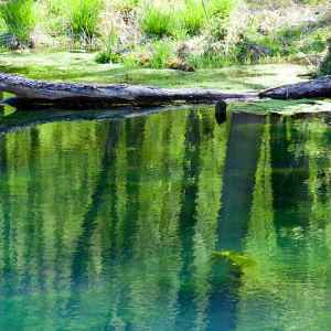 Rock Spring - milepost 330.2