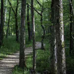 Rock Spring - milepost 330.2