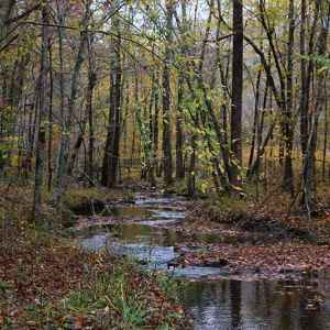 Rock Spring - milepost 330.2