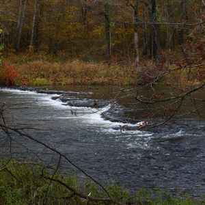 Metal Ford and Buffalo River - milepost 382.8