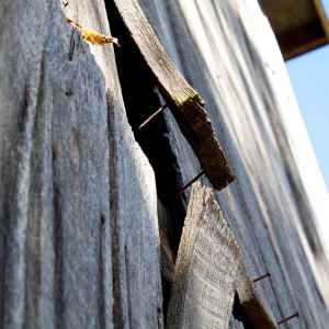 Tobacco Farm -  milepost 401.4