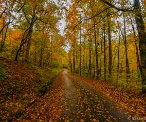 1st Place - Old Trace Drive, milepost 375 in Tennessee - Photographer: Sundar Chorchelvan